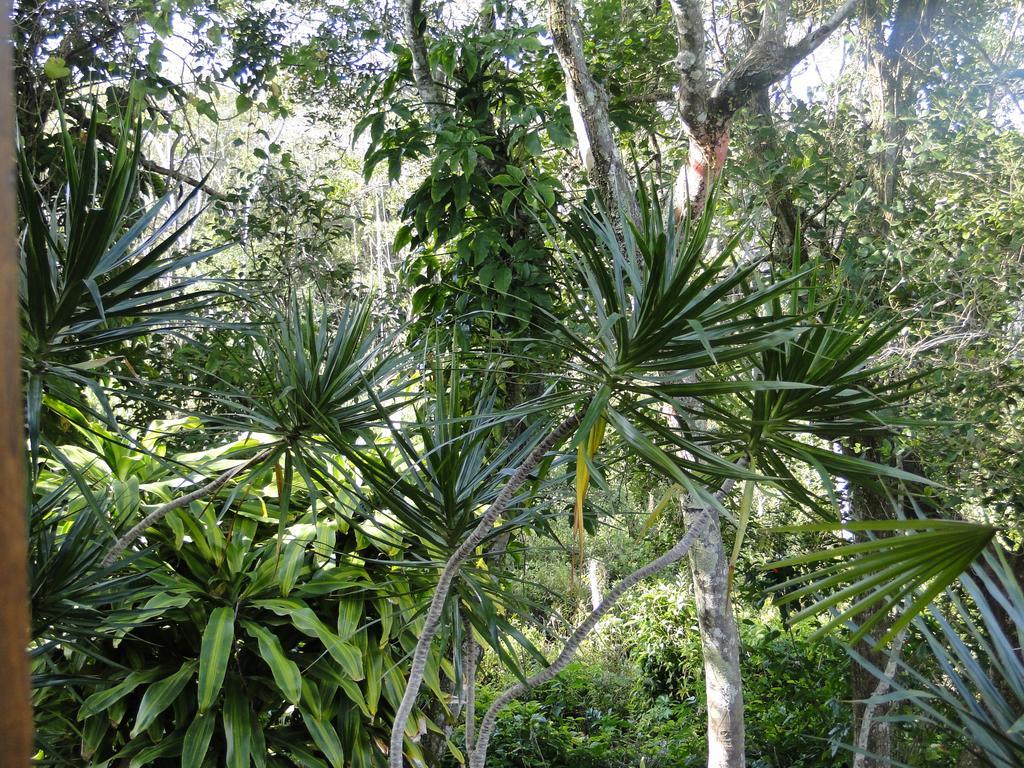 Pousada Lembranca Florianopolis Bagian luar foto